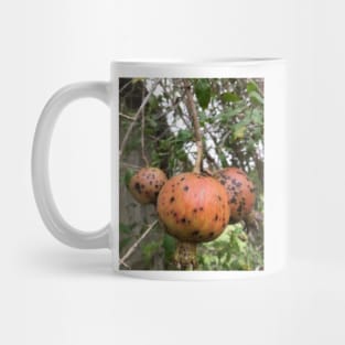 Pomegranate Mug